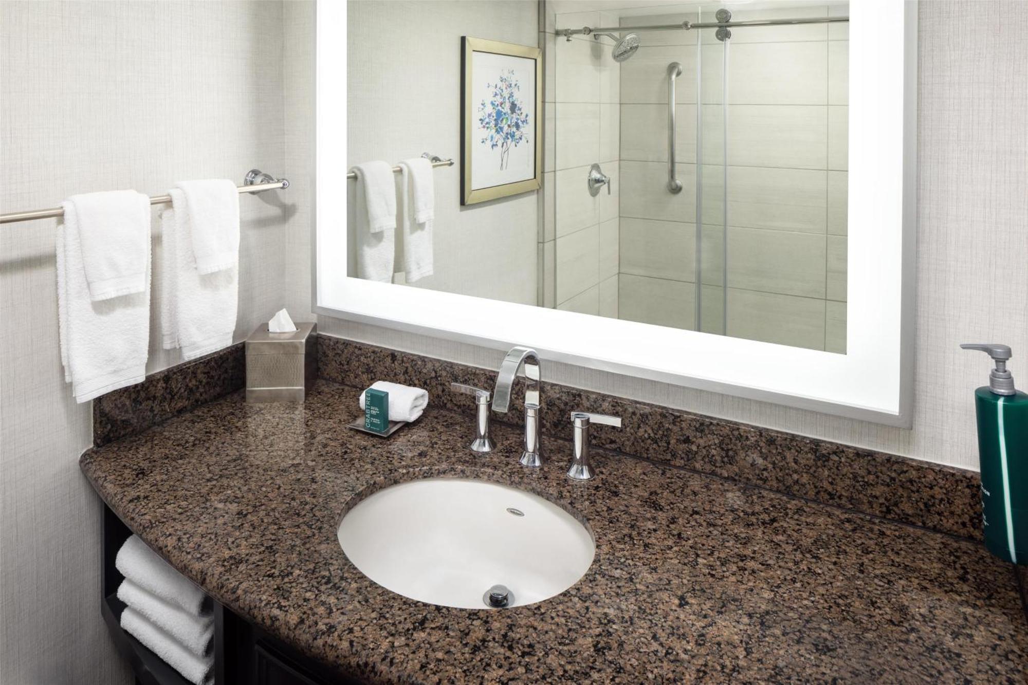 Parlor King Suite Two Bathroom,1665401893:JPEG