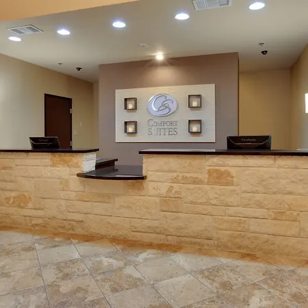 Comfort Suites Arlington - Entertainment District-2